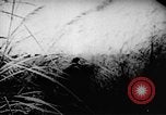 Standbild Viet Cong Soldaten Vietnam, 1967, aus Sekunde 55 historischem Filmmaterial Videoclip 65675043129