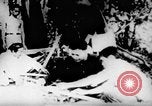 Standbild Viet Cong Soldaten Vietnam, 1967, aus Sekunde 11 historischem Filmmaterial Videoclip 65675043130