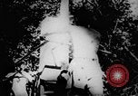 Standbild Viet Cong Soldaten Vietnam, 1967, aus Sekunde 17 historischem Filmmaterial Videoclip 65675043130