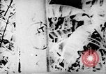 Standbild Viet Cong Soldaten Vietnam, 1967, aus Sekunde 29 historischem Filmmaterial Videoclip 65675043130