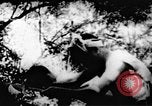 Standbild Viet Cong Soldaten Vietnam, 1967, aus Sekunde 37 historischem Filmmaterial Videoclip 65675043130