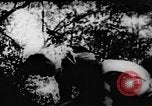 Standbild Viet Cong Soldaten Vietnam, 1967, aus Sekunde 38 historischem Filmmaterial Videoclip 65675043130