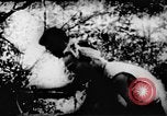Standbild Viet Cong Soldaten Vietnam, 1967, aus Sekunde 39 historischem Filmmaterial Videoclip 65675043130