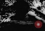 Standbild Viet Cong Soldaten Vietnam, 1967, aus Sekunde 51 historischem Filmmaterial Videoclip 65675043130