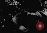 Standbild Viet Cong Soldaten Vietnam, 1967, aus Sekunde 52 historischem Filmmaterial Videoclip 65675043130