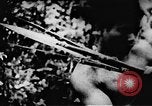 Standbild Viet Cong Soldaten Vietnam, 1967, aus Sekunde 56 historischem Filmmaterial Videoclip 65675043130