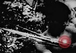 Standbild Viet Cong Soldaten Vietnam, 1967, aus Sekunde 57 historischem Filmmaterial Videoclip 65675043130