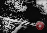 Standbild Viet Cong Soldaten Vietnam, 1967, aus Sekunde 59 historischem Filmmaterial Videoclip 65675043130