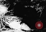 Standbild Viet Cong Soldaten Vietnam, 1967, aus Sekunde 7 historischem Filmmaterial Videoclip 65675043131