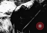 Standbild Viet Cong Soldaten Vietnam, 1967, aus Sekunde 61 historischem Filmmaterial Videoclip 65675043131