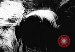 Standbild Viet Cong Soldaten Vietnam, 1967, aus Sekunde 62 historischem Filmmaterial Videoclip 65675043131