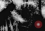Image le Viet Cong soldats Vietnam, 1967, de la seconde 35 séquences d'archives historiques vidéo 65675043132
