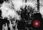 Image le Viet Cong soldats Vietnam, 1967, de la seconde 37 séquences d'archives historiques vidéo 65675043132