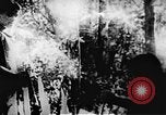 Image le Viet Cong soldats Vietnam, 1967, de la seconde 38 séquences d'archives historiques vidéo 65675043132