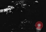 Standbild Viet Cong Soldaten Vietnam, 1967, aus Sekunde 18 historischem Filmmaterial Videoclip 65675043133