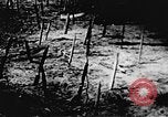 Standbild Viet Cong Soldaten Vietnam, 1967, aus Sekunde 50 historischem Filmmaterial Videoclip 65675043133