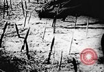 Standbild Viet Cong Soldaten Vietnam, 1967, aus Sekunde 52 historischem Filmmaterial Videoclip 65675043133