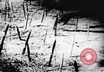 Standbild Viet Cong Soldaten Vietnam, 1967, aus Sekunde 53 historischem Filmmaterial Videoclip 65675043133