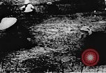 Standbild Viet Cong Soldaten Vietnam, 1967, aus Sekunde 57 historischem Filmmaterial Videoclip 65675043133