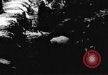 Standbild Viet Cong Soldaten Vietnam, 1967, aus Sekunde 62 historischem Filmmaterial Videoclip 65675043133