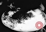 Image le Viet Cong soldats Vietnam, 1967, de la seconde 19 séquences d'archives historiques vidéo 65675043134