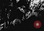 Image le Viet Cong soldats Vietnam, 1967, de la seconde 55 séquences d'archives historiques vidéo 65675043134