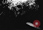 Image le Viet Cong soldats Vietnam, 1967, de la seconde 60 séquences d'archives historiques vidéo 65675043134
