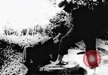 Immagine di Il Viet Cong soldati Il Vietnam, 1967, secondo 5 filmato di repertorio 65675043135