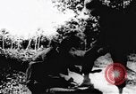 Immagine di Il Viet Cong soldati Il Vietnam, 1967, secondo 9 filmato di repertorio 65675043135