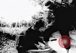Immagine di Il Viet Cong soldati Il Vietnam, 1967, secondo 10 filmato di repertorio 65675043135
