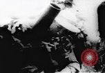 Standbild Viet Cong Soldaten Vietnam, 1967, aus Sekunde 14 historischem Filmmaterial Videoclip 65675043136