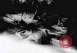 Standbild Viet Cong Soldaten Vietnam, 1967, aus Sekunde 49 historischem Filmmaterial Videoclip 65675043136