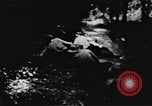 Standbild Viet Cong Soldaten Vietnam, 1967, aus Sekunde 54 historischem Filmmaterial Videoclip 65675043136