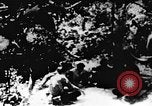 Image le Viet Cong soldats Vietnam, 1967, de la seconde 1 séquences d'archives historiques vidéo 65675043137