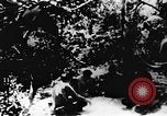 Image le Viet Cong soldats Vietnam, 1967, de la seconde 3 séquences d'archives historiques vidéo 65675043137