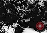 Image le Viet Cong soldats Vietnam, 1967, de la seconde 5 séquences d'archives historiques vidéo 65675043137