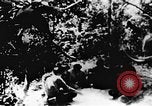 Image le Viet Cong soldats Vietnam, 1967, de la seconde 6 séquences d'archives historiques vidéo 65675043137