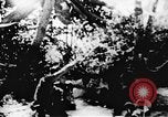 Image le Viet Cong soldats Vietnam, 1967, de la seconde 26 séquences d'archives historiques vidéo 65675043137