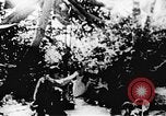 Image le Viet Cong soldats Vietnam, 1967, de la seconde 27 séquences d'archives historiques vidéo 65675043137