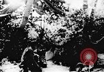 Image le Viet Cong soldats Vietnam, 1967, de la seconde 28 séquences d'archives historiques vidéo 65675043137