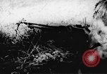 Immagine di Il Viet Cong soldati Il Vietnam, 1967, secondo 17 filmato di repertorio 65675043138