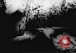 Immagine di Il Viet Cong soldati Il Vietnam, 1967, secondo 18 filmato di repertorio 65675043138