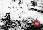 Immagine di Il Viet Cong soldati Il Vietnam, 1967, secondo 32 filmato di repertorio 65675043138
