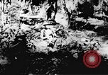 Immagine di Il Viet Cong soldati Il Vietnam, 1967, secondo 33 filmato di repertorio 65675043138