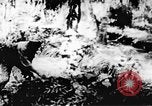 Immagine di Il Viet Cong soldati Il Vietnam, 1967, secondo 35 filmato di repertorio 65675043138