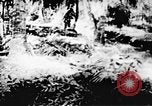 Immagine di Il Viet Cong soldati Il Vietnam, 1967, secondo 37 filmato di repertorio 65675043138