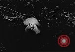 Immagine di Il Viet Cong soldati Il Vietnam, 1967, secondo 41 filmato di repertorio 65675043138