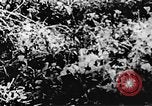 Immagine di Il Viet Cong soldati Il Vietnam, 1967, secondo 42 filmato di repertorio 65675043138