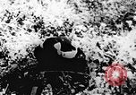 Immagine di Il Viet Cong soldati Il Vietnam, 1967, secondo 43 filmato di repertorio 65675043138