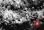 Immagine di Il Viet Cong soldati Il Vietnam, 1967, secondo 44 filmato di repertorio 65675043138